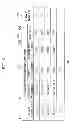 Fig. 10 - PACKET PROCESSING SYSTEM PROCESSING PACKETS BY PLURAL PROCESSORS