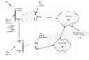 Fig. 01 - Offloading traffic via a wireless peer-to-peer connection