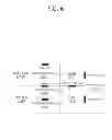 Fig. 07 - Method and apparatus for wireless communication on heterogeneous networks