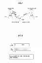 Fig. 05 - Wireless communication system and communication method
