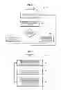 Fig. 06 - Pre-fetching of assets to user equipment