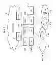 Fig. 02 - MOBILE COMMUNICATION METHOD, MOBILE TERMINAL, AND PROCESSOR