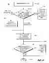 Fig. 07 - Supporting emergency calls on a wireless local area network