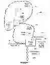 Fig. 02 - Identification of a private device in a public network