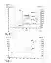 Fig. 02 - Method for performing a differential thermal analysis