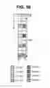 Fig. 42 - Method and apparatus for transmitting reference signal in multi-antenna system
