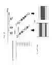 Fig. 22 - Visible light communication signal display method and apparatus
