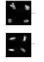 Fig. 08 - Methods and apparatus for image analysis using threshold compactness features