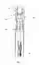Fig. 02 - Tweezer type package for cosmetic product application