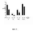 Fig. 03 - Multivalent constructs for therapeutic and diagnostic applications