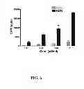 Fig. 07 - Multivalent constructs for therapeutic and diagnostic applications