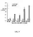 Fig. 10 - Multivalent constructs for therapeutic and diagnostic applications