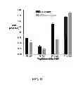 Fig. 12 - Multivalent constructs for therapeutic and diagnostic applications