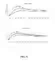 Fig. 23 - Multivalent constructs for therapeutic and diagnostic applications