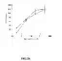 Fig. 27 - Multivalent constructs for therapeutic and diagnostic applications
