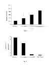 Fig. 07 - Method for Cosmetically Treating Caspase-14 Deficiency