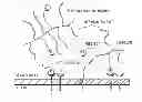 Fig. 01 - Compositions and methods for treating organ dysfunction