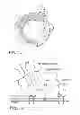Fig. 02 - Compositions and methods for treating organ dysfunction