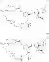Fig. 22 - Macrocyclic heterocyclic compound for inhibiting hepatitis C virus and preparation and use thereof