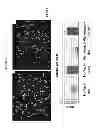 Fig. 06 - CONTROL OF BIOFILM FORMATION