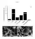 Fig. 08 - CONTROL OF BIOFILM FORMATION