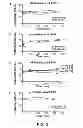 Fig. 06 - Proteases for Degrading Gluten