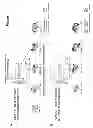 Fig. 16 - Focused evolution of HIV-1 neutralizing antibodies revealed by crystal structures and deep sequencing