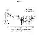 Fig. 04 - Use of M-CSF antibodies in the treatment of osteoarthritis or pain