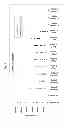 Fig. 07 - Method of inducing an immune response against HIV employing HIV immunogens, adenoviral vectors encoding said immunogens, and adjuvant