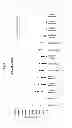 Fig. 08 - Method of inducing an immune response against HIV employing HIV immunogens, adenoviral vectors encoding said immunogens, and adjuvant