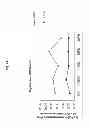 Fig. 29 - Method of inducing an immune response against HIV employing HIV immunogens, adenoviral vectors encoding said immunogens, and adjuvant