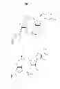 Fig. 06 - Compositions comprising cyclic purine dinucleotides having defined stereochemistries and methods for their preparation and use