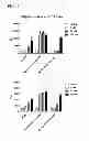 Fig. 08 - Compositions comprising cyclic purine dinucleotides having defined stereochemistries and methods for their preparation and use
