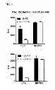 Fig. 09 - Compositions comprising cyclic purine dinucleotides having defined stereochemistries and methods for their preparation and use