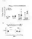 Fig. 12 - Compositions comprising cyclic purine dinucleotides having defined stereochemistries and methods for their preparation and use