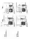 Fig. 09 - MODIFIED CATIONIC LIPOSOME ADJUVANTS