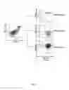 Fig. 06 - dhS1P AND USE OF SAME AS AN ANTICANCER THERAPEUTIC AND IMMUNOMODULATOR