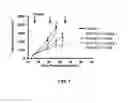 Fig. 02 - METHODS OF USING (+)-1,4-DIHYDRO-7-[(3S,4S)-3-METHOXY-4-(METHYLAMINO)-1-PYRROLIDINYL]-4-OXO-1-(2-THIAZOLYL)-1,8-NAPHTHYRIDINE-3-CARBOXYLIC ACID IN COMBINATION THERAPY
