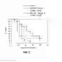 Fig. 04 - METHODS OF USING (+)-1,4-DIHYDRO-7-[(3S,4S)-3-METHOXY-4-(METHYLAMINO)-1-PYRROLIDINYL]-4-OXO-1-(2-THIAZOLYL)-1,8-NAPHTHYRIDINE-3-CARBOXYLIC ACID IN COMBINATION THERAPY