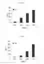 Fig. 03 - Bacterial extract for respiratory disorders and process for its preparation