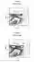 Fig. 11 - Bacterial extract for respiratory disorders and process for its preparation