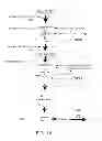 Fig. 02 - Flavor composition and edible compositions containing same