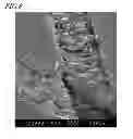 Fig. 07 - Method for forming identification marks on silicon carbide single crystal substrate, and silicon carbide single crystal substrate