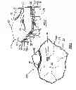 Fig. 02 - Artificial stone