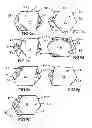 Fig. 06 - Artificial stone