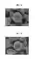Fig. 02 - Composite cathode active material, cathode and lithium battery including the composite cathode active material, and preparation method thereof