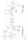 Fig. 02 - Single component sulfur-based cathodes for lithium and lithium-ion batteries