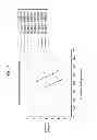 Fig. 06 - Fuel cell stack including ejector and blower for anode recirculation and method for controlling the same