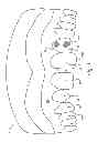 Fig. 02 - Stents and method for dental restoration using same