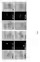 Fig. 32 - Rationale, methods, and assays for identifying human and non-human primate taste specific genes and use thereof in taste modulator and therapeutic screening assays